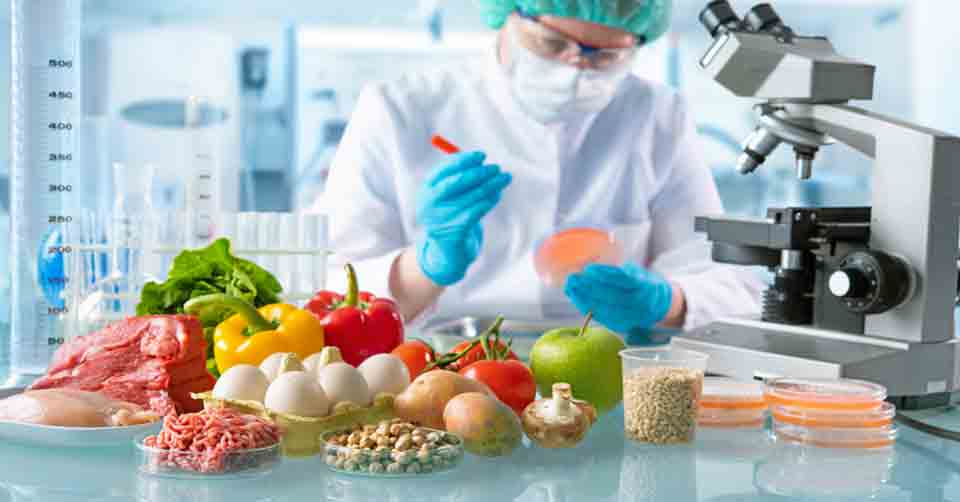 Pediatricians' Guide to GMO Foods: Making Informed Decisions for Your Family